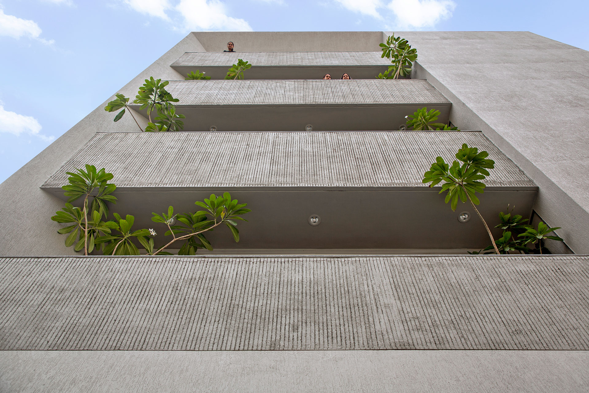 Project Detail
